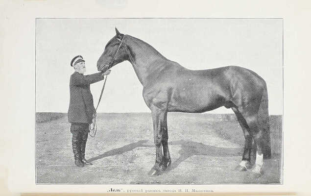 Кулешов П.Н. Тренировка рысаков / Сост. по Марвину и доп. по Сплэну, Маклеоду, Валлясу и др. 2-е изд., просм. и доп. СПб.: Изд. А.Ф. Девриена, 1897.